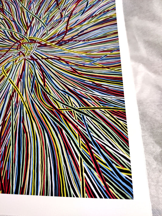 Knotted Print - Signed